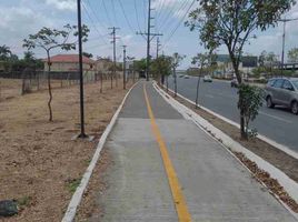  Land for sale in Samborondon, Guayas, Samborondon, Samborondon