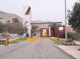  Terreno (Parcela) en venta en Lurigancho, Lima, Lurigancho