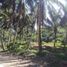  Land for sale in Cebu Central Visayas, Tuburan