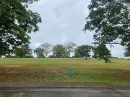  Terreno (Parcela) en venta en Calamba City, Calabarzon, Calamba City, Laguna, Calabarzon, Filipinas