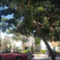 4 Habitación Villa en venta en Othon P Blanco, Quintana Roo, Othon P Blanco