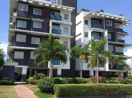 1 Bedroom Condo for rent in Calabarzon, Cainta, Rizal, Calabarzon