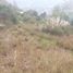  Land for sale in Paute, Azuay, Paute, Paute