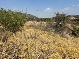  Terrain for sale in Nayarit, Ixtlan Del Rio, Nayarit