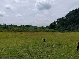  Terreno (Parcela) en venta en Bohol, Central Visayas, Carmen, Bohol