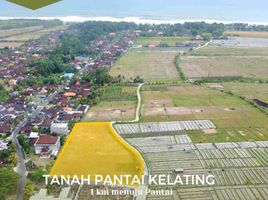  Land for sale in Kerambitan, Tabanan, Kerambitan