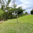  Land for sale in Pereira, Risaralda, Pereira