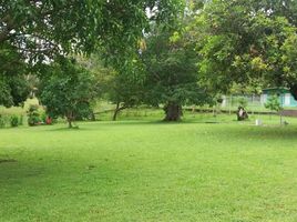 3 Schlafzimmer Haus zu verkaufen in Chame, Panama Oeste, Cabuya, Chame