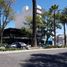  Land for rent in San Andres Cholula, Puebla, San Andres Cholula, Puebla