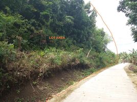  Land for sale in Sikatuna, Bohol, Sikatuna