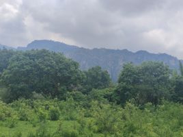 Terrain à vendre à Tepoztlan, Morelos, Tepoztlan