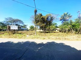  Land for sale in Puerto Princesa City, Mimaropa, Puerto Princesa City, Palawan, Mimaropa