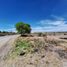  Terrain for sale in El Marques, Queretaro, El Marques