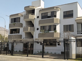 Appartement 3 chambre à vendre à La Molina, Lima, La Molina, Lima, Lima