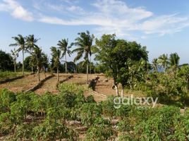  Grundstück zu verkaufen in Klungkung, Bali, Nusa Penida, Klungkung