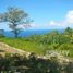  Terrain for sale in Nusa Penida, Klungkung, Nusa Penida