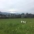  House for sale in Machachi, Pichincha, Machachi, Mejia