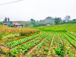  Terreno (Parcela) en venta en Cebu City, Central Visayas, Cebu City