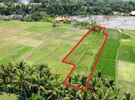  Land for sale in Gianyar, Bali, Ubud, Gianyar