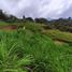  Land for sale in Cali, Valle Del Cauca, Cali