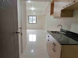 Studio Condo for sale in Central Luzon, Santa Cruz, Zambales, Central Luzon