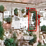 Maison à vendre à Guaymas, Sonora, Guaymas, Sonora