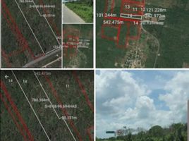  Terreno (Parcela) en venta en Merida, Yucatán, Merida, Yucatán