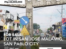  Land for sale in San Pablo City, Laguna, San Pablo City