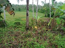  Grundstück zu verkaufen in Surigao del Norte, Caraga, General Luna, Surigao del Norte