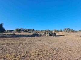  Terreno (Parcela) en venta en Zempoala, Hidalgo, Zempoala