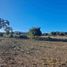  Terreno (Parcela) en venta en Zempoala, Hidalgo, Zempoala