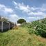  Land for sale in Tlahuac, Mexico City, Tlahuac