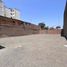  Land for sale in Los Olivos, Lima, Los Olivos, Lima, Lima