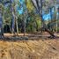  Land for sale in Chile, Villarrica, Cautin, Araucania, Chile