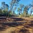  Land for sale in Chile, Villarrica, Cautin, Araucania, Chile