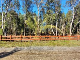  Land for sale in Chile, Villarrica, Cautin, Araucania, Chile