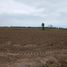  Terreno (Parcela) en venta en San Luis, Cañete, San Luis