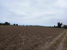  Terreno (Parcela) en venta en San Luis, Cañete, San Luis