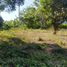  Land for sale in Tubara, Atlantico, Tubara