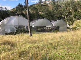  Terreno (Parcela) en venta en Paute, Azuay, Paute, Paute