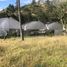  Land for sale in Paute, Azuay, Paute, Paute