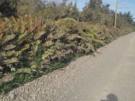  Terrain for sale in Llanquihue, Los Lagos, Calbuco, Llanquihue