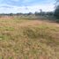  Terrain for sale in Llanquihue, Los Lagos, Calbuco, Llanquihue