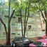 3 Habitación Apartamento en venta en Miguel Hidalgo, Ciudad de México, Miguel Hidalgo