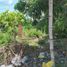Terrain à vendre à Lapu-Lapu City, Central Visayas, Lapu-Lapu City