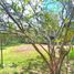  Land for sale in Del Centro, Oaxaca, Del Centro