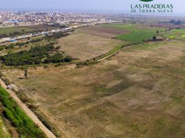  Terreno (Parcela) en venta en Pisco, Ica, San Clemente, Pisco