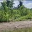  Terreno (Parcela) en venta en Consolacion, Central Visayas, Consolacion, Cebu