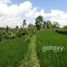  Terrain for sale in Pupuan, Tabanan, Pupuan