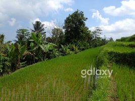  Terrain for sale in Pupuan, Tabanan, Pupuan